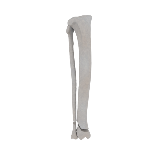 11-a2.640.png