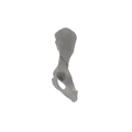 Pelvis 01 3