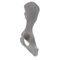 renderowanie kosci.201