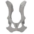 renderowanie kosci.203