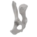 renderowanie kosci.207