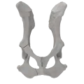 renderowanie kosci.223