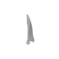 Scapula 01 3