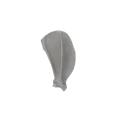 Scapula 01 1