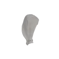 Scapula 01 2