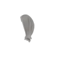 Scapula 03 6