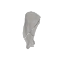 Scapula 04 7