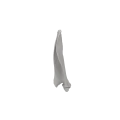 Scapula 06 3