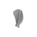 Scapula 06 2