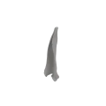 Scapula 07 4