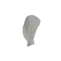 Scapula 07 2