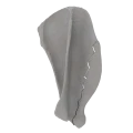 Scapula 07 5