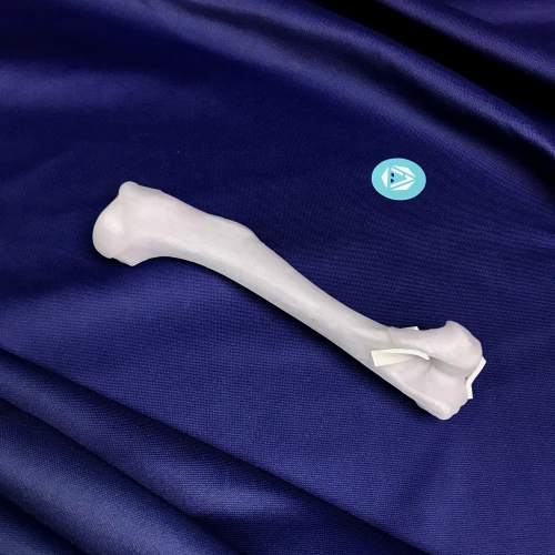 renderowanie kosci.250