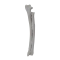 renderowanie kosci.397