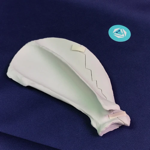 Scapula 07 5