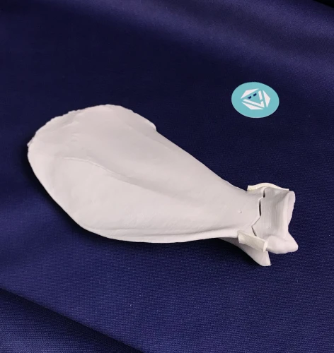 Scapula 01 1
