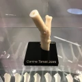 20200212_183956421_iOS