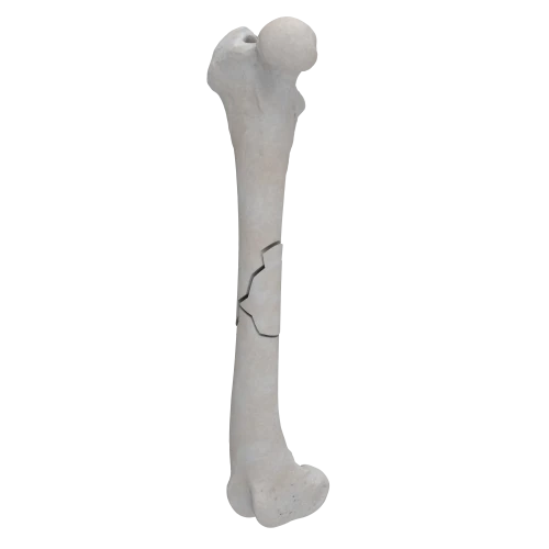 renderowanie kosci.182