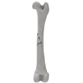 renderowanie kosci.178