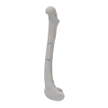 renderowanie kosci.180