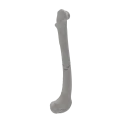 renderowanie kosci.181