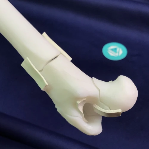renderowanie kosci.194
