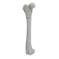 renderowanie kosci.197