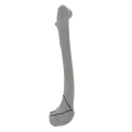 renderowanie kosci.191