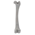 renderowanie kosci.188
