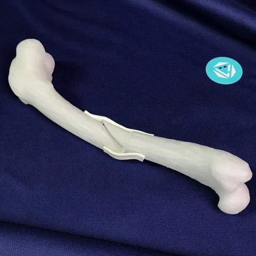renderowanie kosci.185