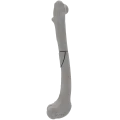renderowanie kosci.186