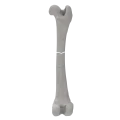 renderowanie kosci.183