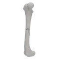 renderowanie kosci.187