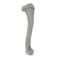 renderowanie kosci.389