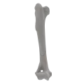 renderowanie kosci.385
