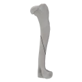 renderowanie kosci.386