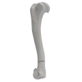 renderowanie kosci.259