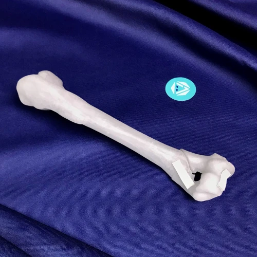 renderowanie kosci.260