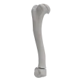 renderowanie kosci.264