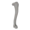 renderowanie kosci.263