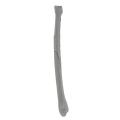 renderowanie kosci.291