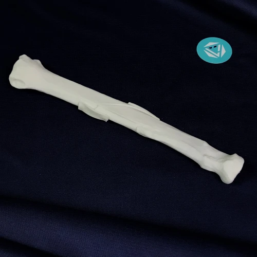 renderowanie kosci.288