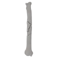 renderowanie kosci.283