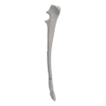 renderowanie kosci.299