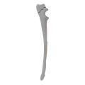 renderowanie kosci.302