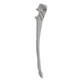 renderowanie kosci.308