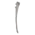 renderowanie kosci.333