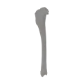 Tibia 00 4