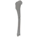 renderowanie kosci.340