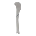 renderowanie kosci.345